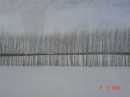 SNOW SNOW QUICK QUICK SNOW180 * 448 x 336 * (15KB)